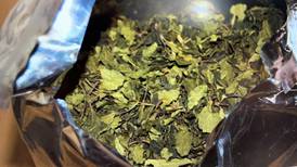 716 kilo te viste seg å være 640 kilo tørket khat: – Et gedigent beslag