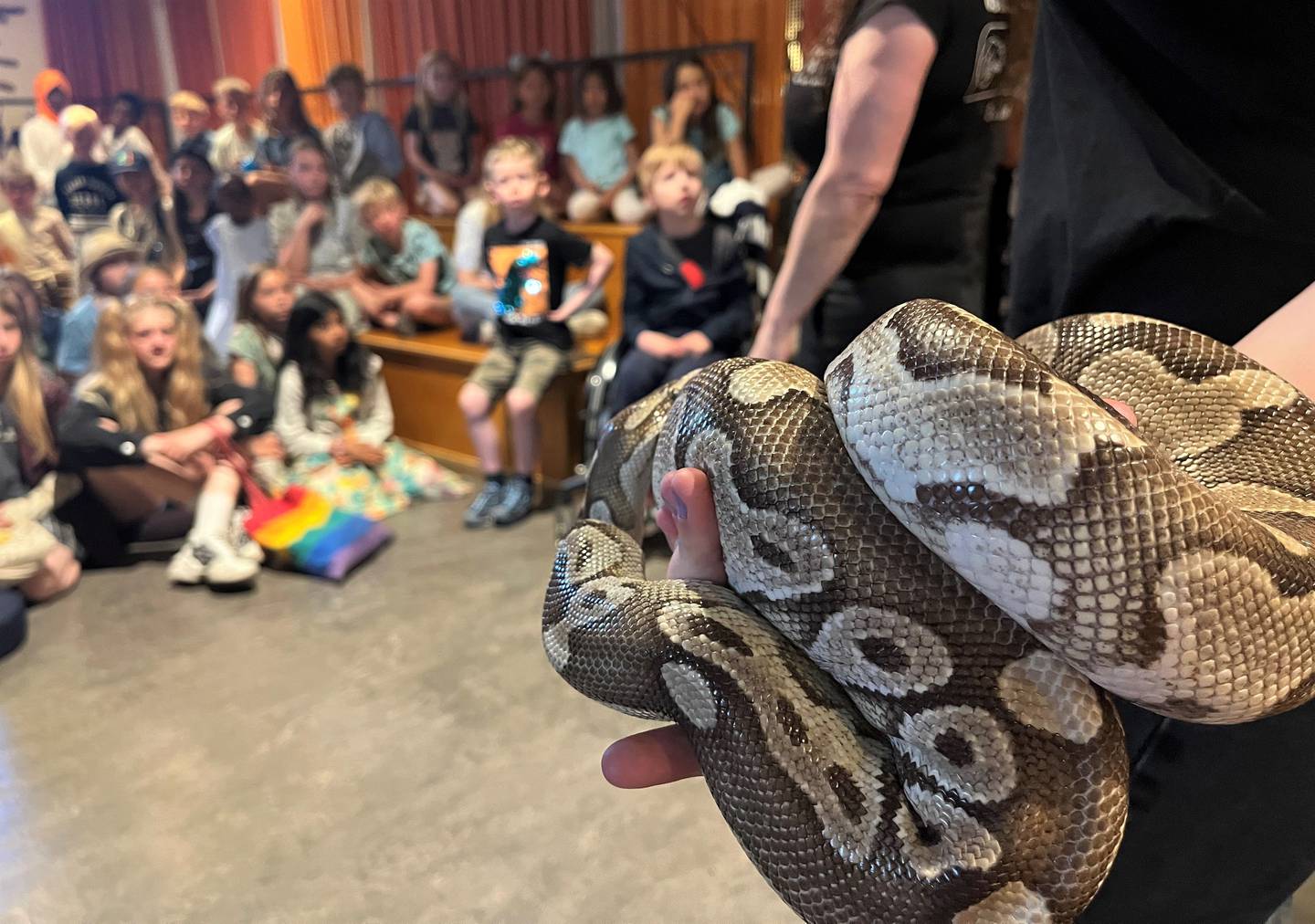 Det var et eksotisk utvalg reptiler barna fikk se på Fredrikstad Bibliotek onsdag. De fulgte spent med.