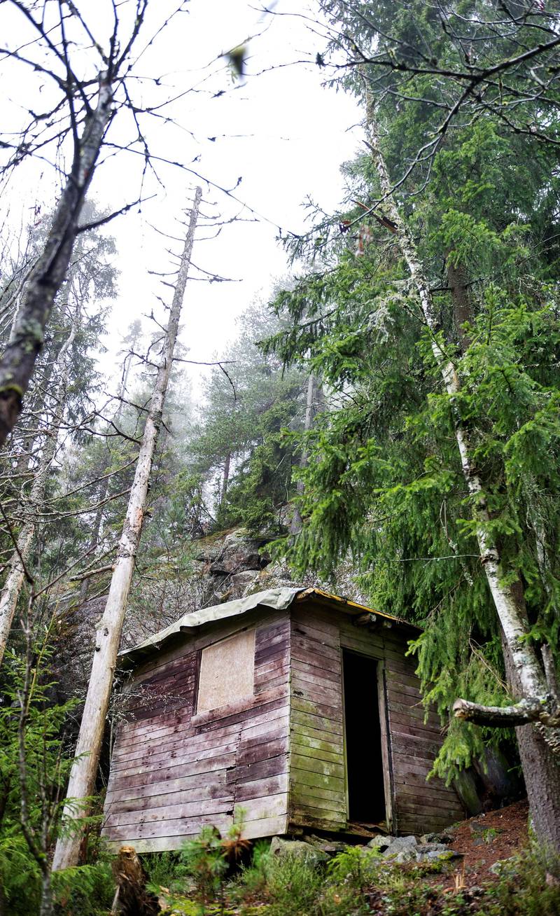 Harald Grande bygde hytta selv, etter at den første brant ned i 1978. FOTO: FRØYDIS FALCH URBYE
