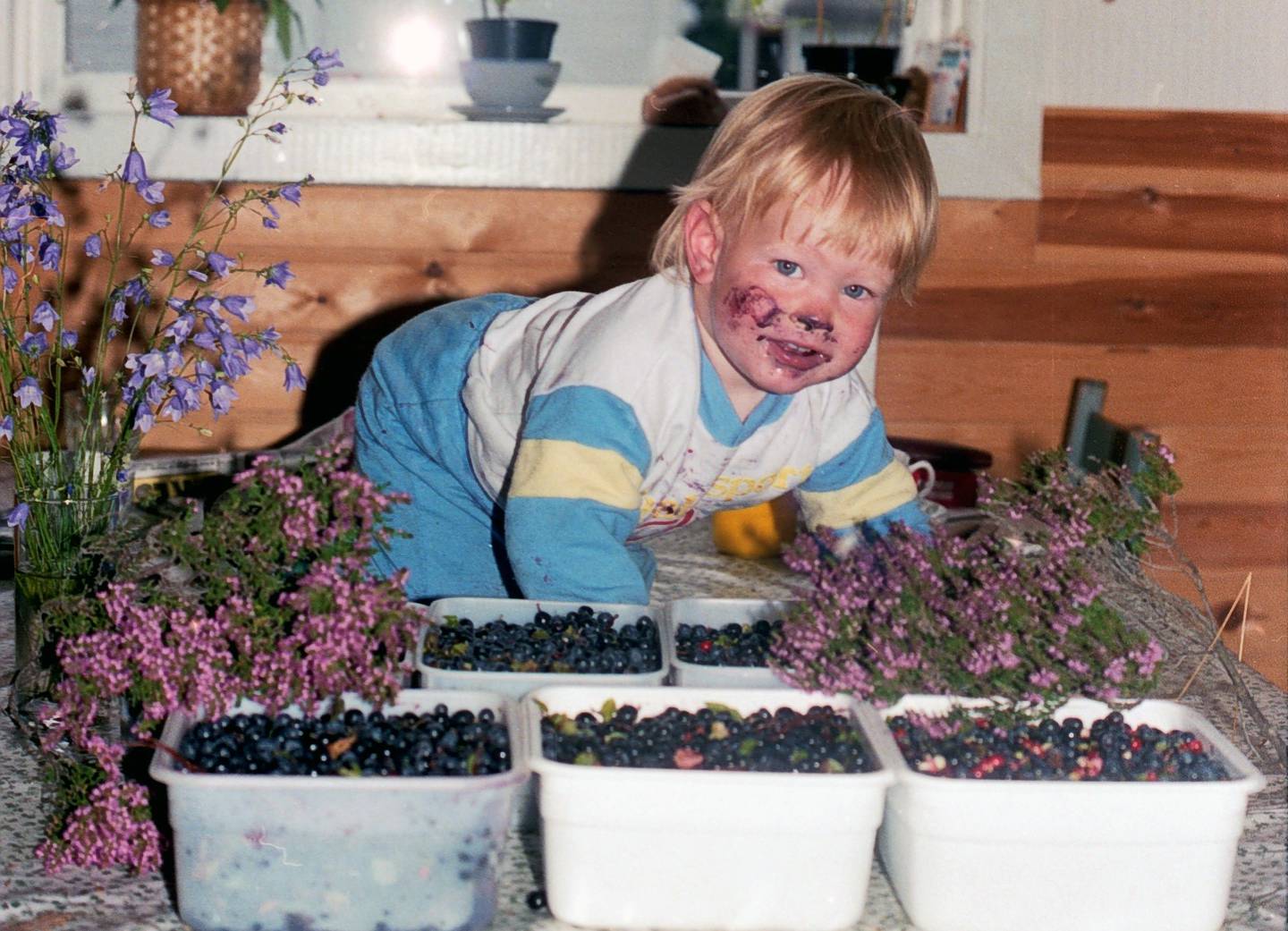 Torstein Tvedt Solberg blant overflod av bær i barndomshjemmet i Lysefjordgata.