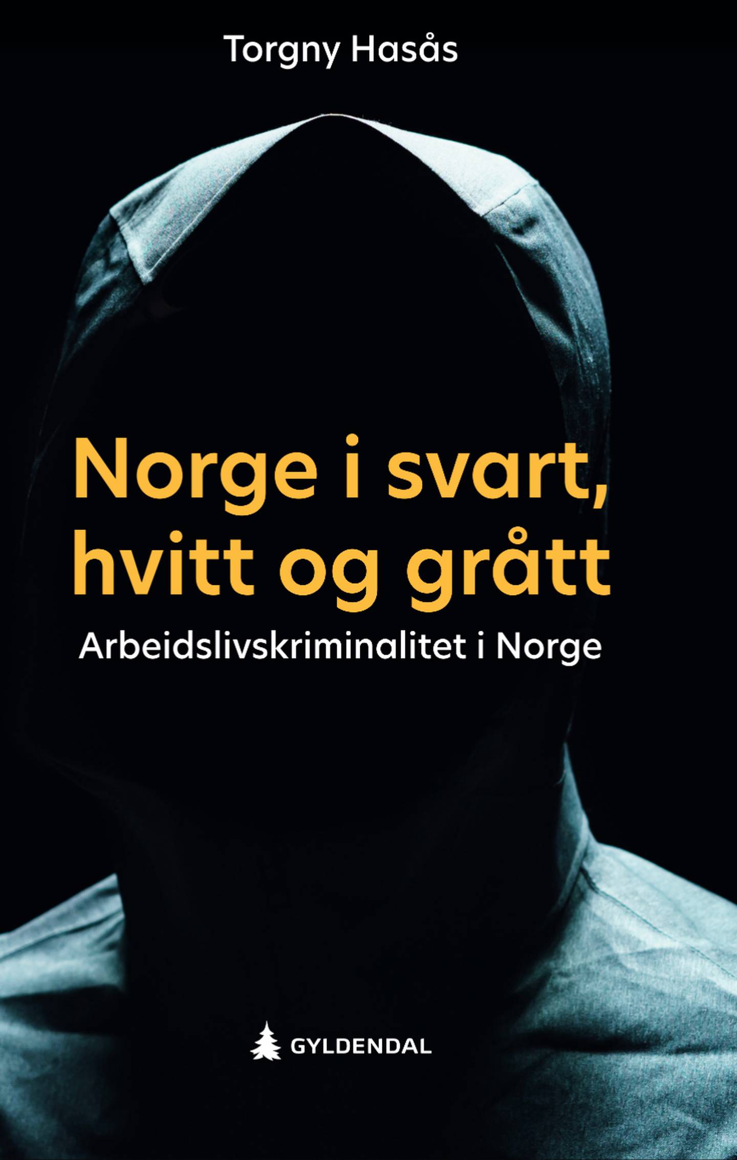 Forsida på boka «Norge i svart, hvitt og grått».