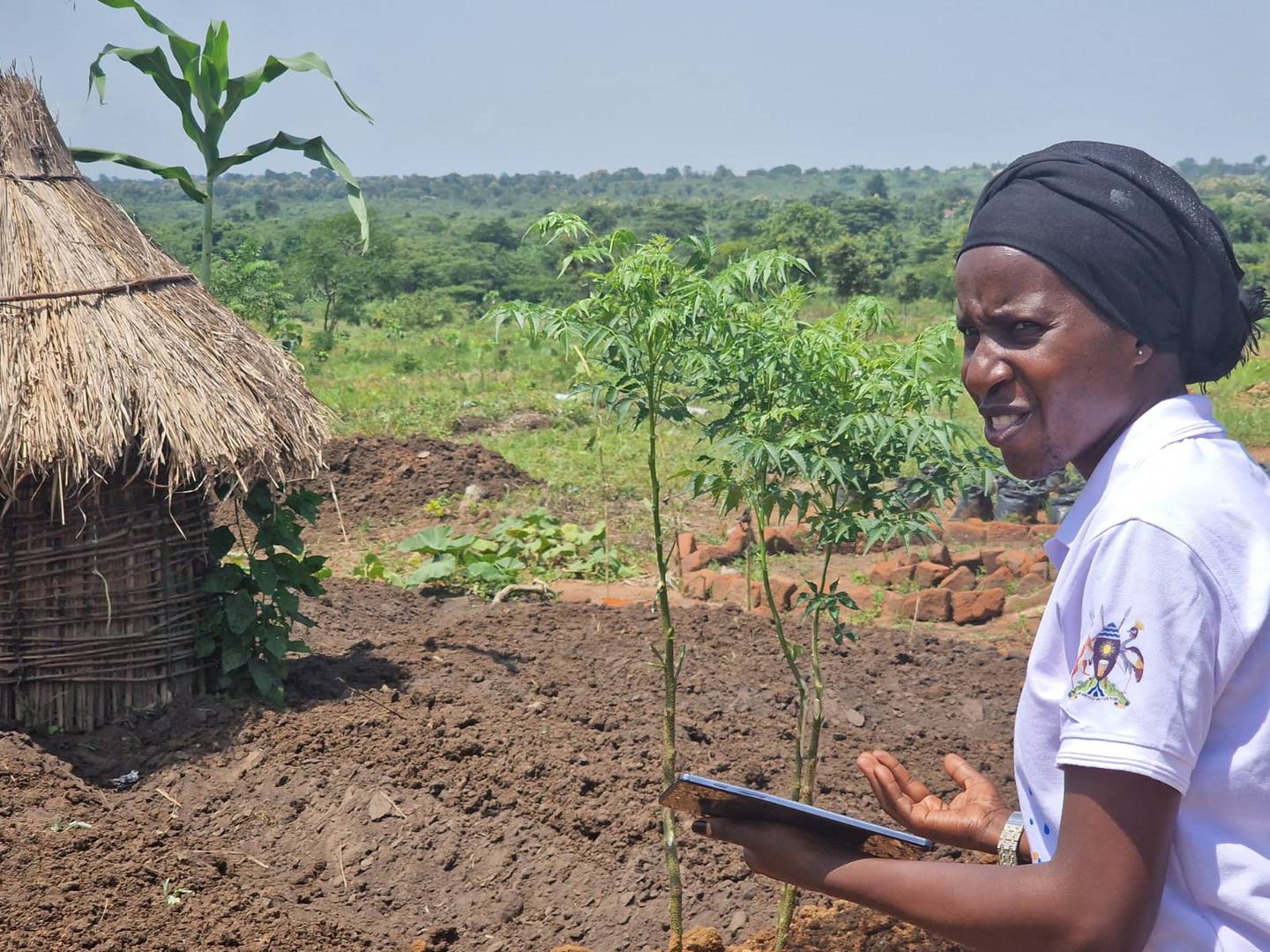 Caritas har ansatt agronomer i Uganda som veileder flyktninger i jordbruk.