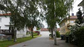 Bjørketrær splitter nabolag i Bydalen