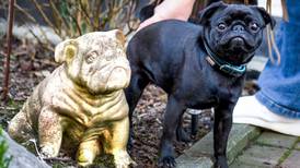 Tysk by beslagla hund og solgte den på eBay for å betale eierens gjeld