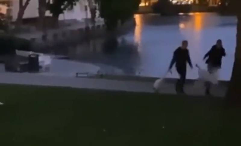 En video av to menn som mishandlet svaner ved Breiavatnet, har ført til politietterforskning. Nå er to menn mistenkt for mishandlingen.
