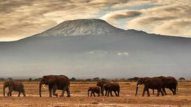Tanzania vil bygge taubane opp til Kilimanjaro