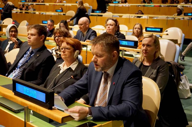 Islands likestillings- og sosialminister, Thorsteinn Viglundsson, fortalte om Islands arbeid for likestilling under FNs kvinnekommisjon (CSW) i New York.
