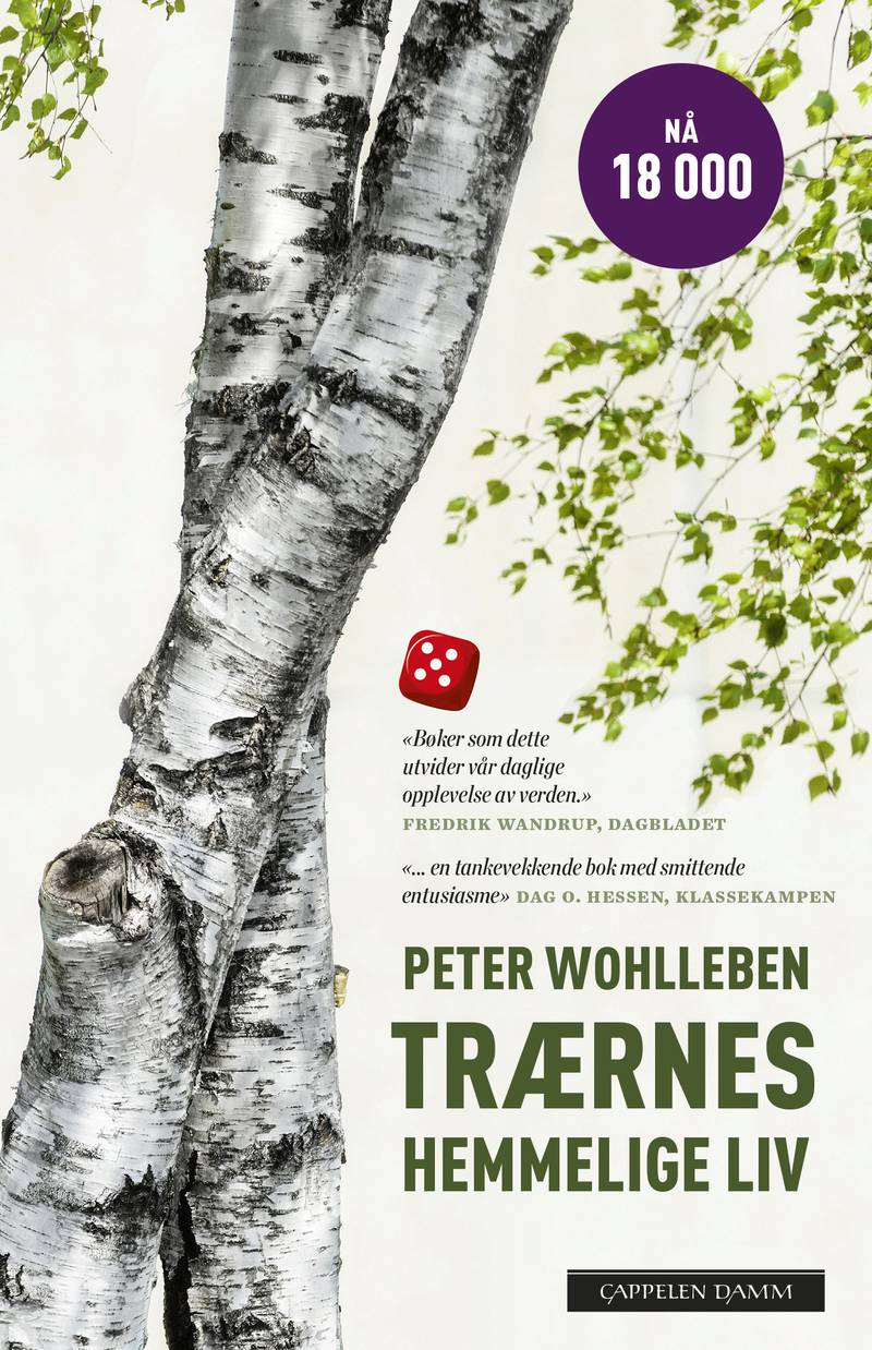 trær: «Trærnes hemmelige liv» har et opplag på 18.000 og er en av årets uforutsette bestselgere.
