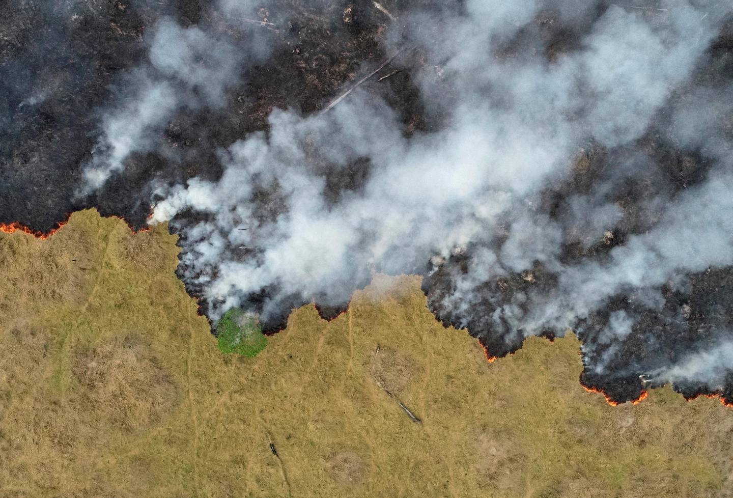 An aerial view shows smoke rising over a deforested plot of the Amazon jungle in Porto Velho, Rondonia State, Brazil, in this August 24, 2019 picture taken with a drone. Picture taken August 24, 2019. REUTERS/Ueslei Marcelino     TPX IMAGES OF THE DAY