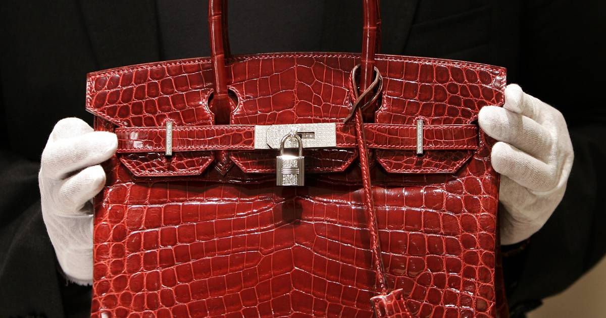– Buying a Birkin bag is so difficult that it should be illegal – Dagsavisen