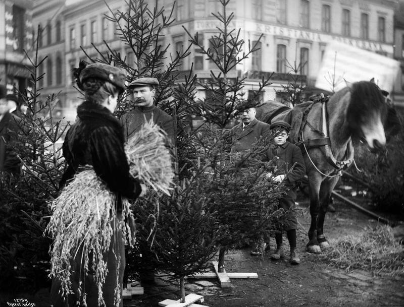 Juletrær og julenek på Youngstorget lille julaften 1910.