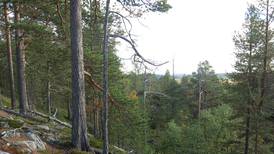 Norsk skogvern i sneglefart