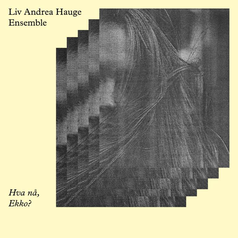 Liv Andrea Hauge Ensemble: Hva nå Ekko