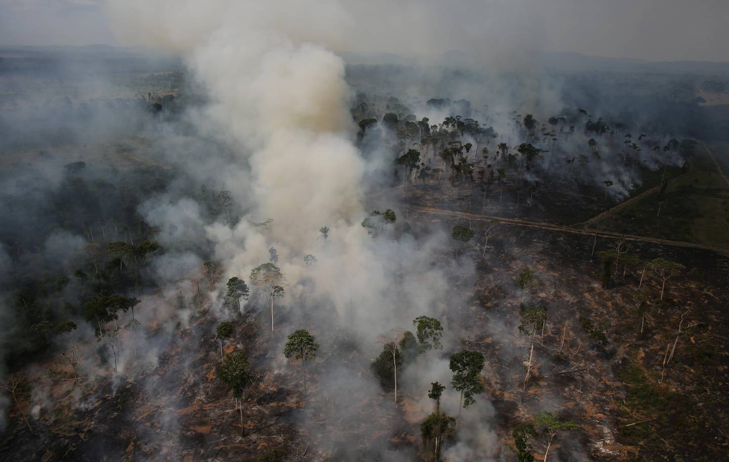 An aerial view of a tract of Amazon jungle burning as it is being cleared by loggers and farmers near the city of Novo Progresso, Para state, Brazil, September 24, 2013. Picture taken September 24, 2013. REUTERS/Nacho Doce