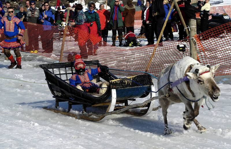 Den samiske påskefeiringen i Karasjok byr blant annet på VM i reinkjøring. Med egen turistklasse! FOTO: JØRN TOMTER/WWW.NORDNORGE.COM