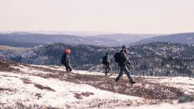Halve Norge er uten statlig skog: – Svekker garantien for allmenn tilgjengelighet
