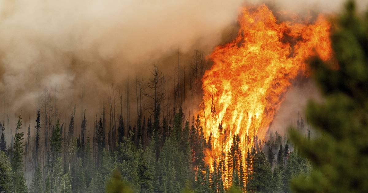 Canadian wildfires have scorched an area the size of Iceland – Dagsavisen