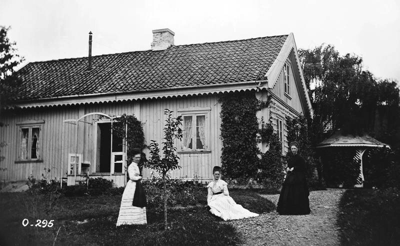 Gården Nygård fotografert cirka 1863–83.