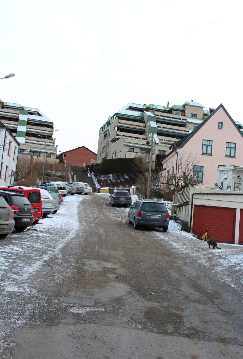 Korkebakken: Helly Hansens korkefabrikk var plassert øverst til høyre i bakken. FOTO: PAUL NORBERG