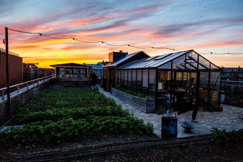 – Nå ser vi viktigheten av selvberging. Østergro i København er et godt eksempel på urbant landbruk, sier Demokratens spaltist, arkitekt Pernille Kolstad Heen.