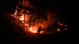 Minst 23 omkomne i skogbranner i Chile