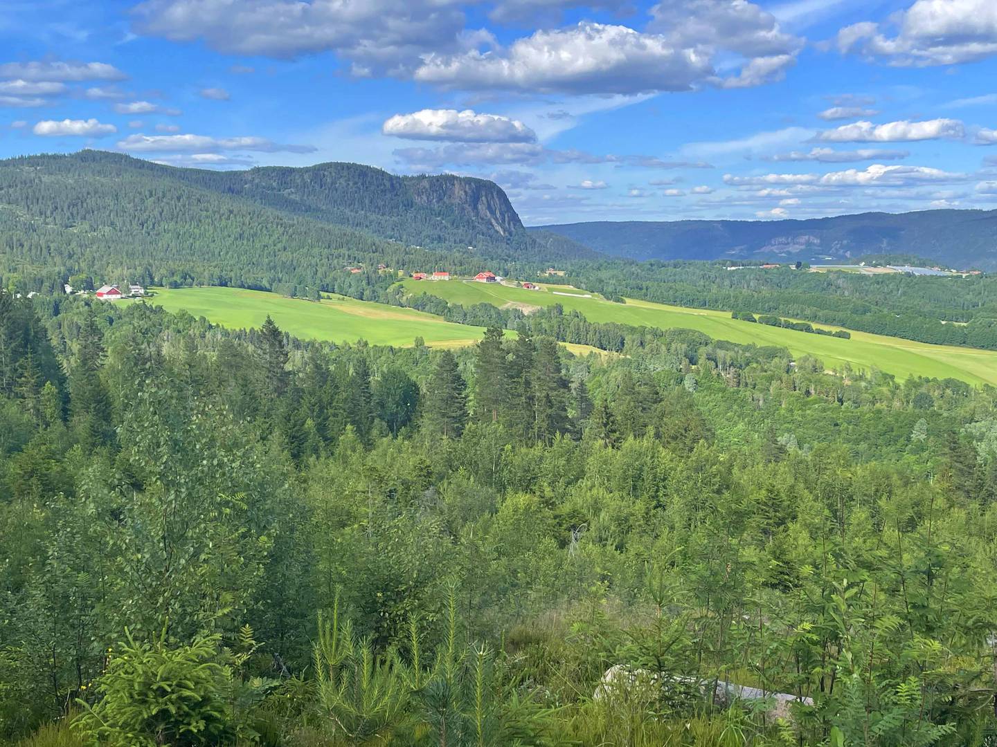 Utsikt fra den blåmerka stien mellom Kanada og Gjevlekollen med Solberggårdene og Hørtekollen i bakgrunnen.