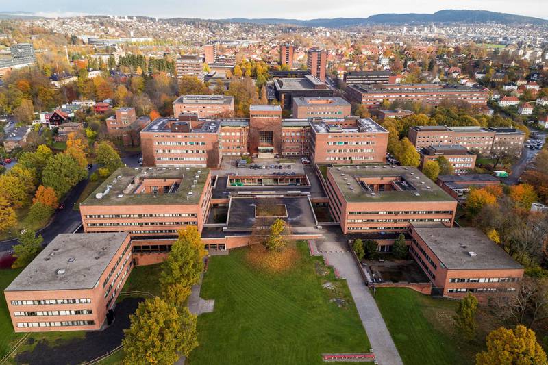 Universitetet i Oslo planlegger for å bli langt grønnere enn hva tilfellet er nå. Investeringene i fossilfrie fond er bare ett skritt på veien til en mer klimavennlig drift og lavere utslipp. FOTO: TORE MEEK/NTB SCANPIX