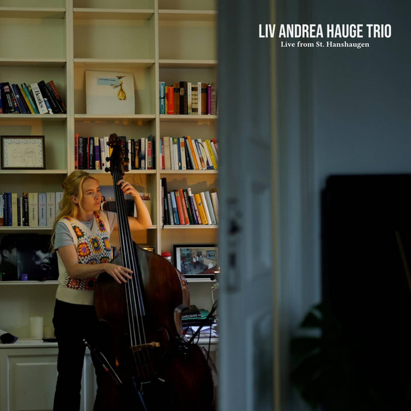 Liv Andrea Hauge Trio: Live From St. Hanshaugen