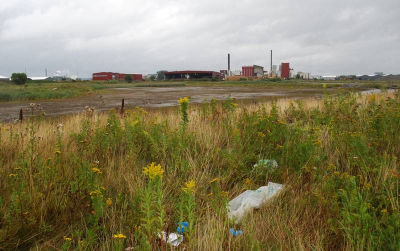 PLAST: Flere steder langs veien ut mot naturreservatet på Øra ligger det til tider plastavfall. Naturvernforbundet mener det kan utgjøre en fare for fuglelivet, mens avfallsselskapene ser på det som hovedsakelig estetisk forsøpling.