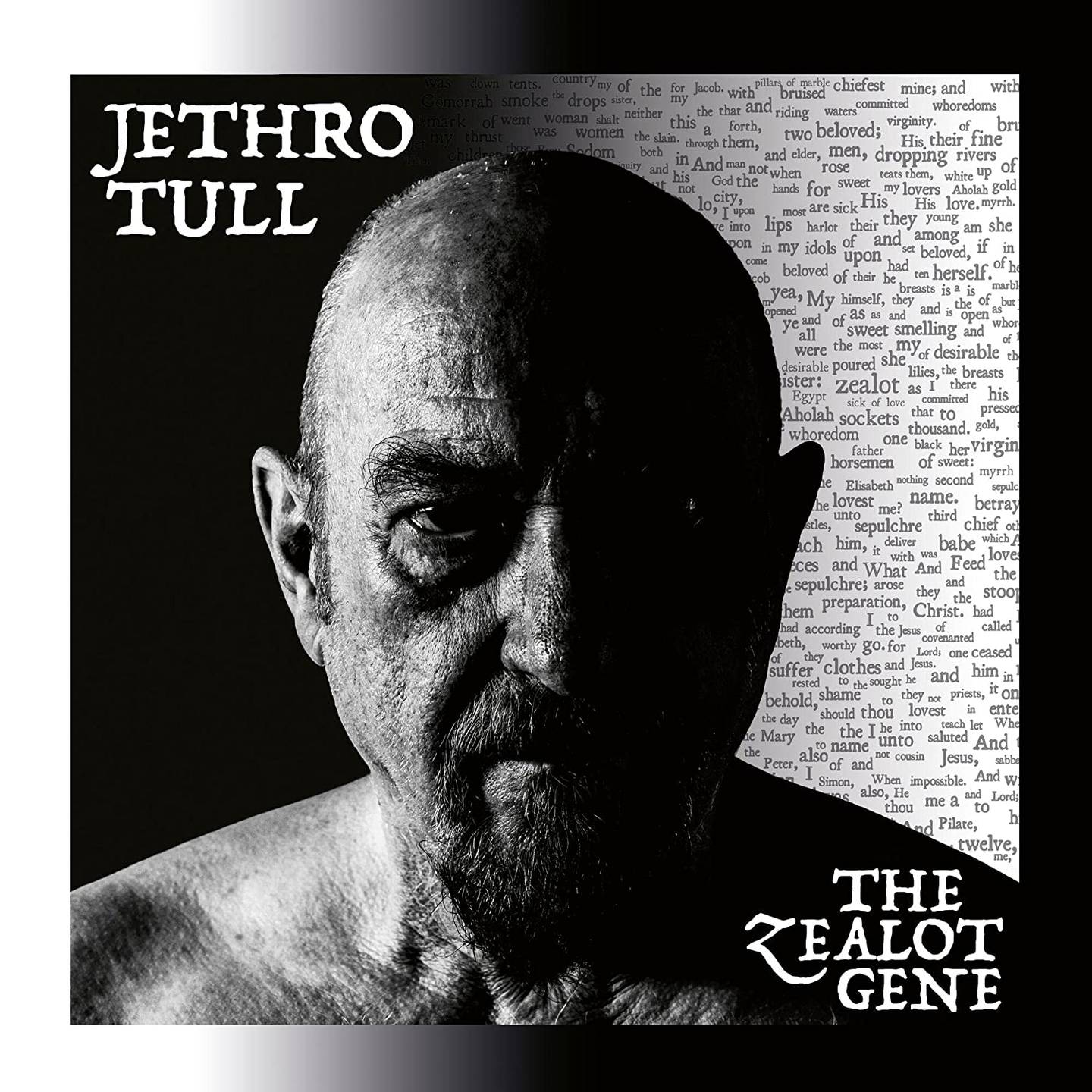 Jethro Tull: 
«The Zealot Gene»