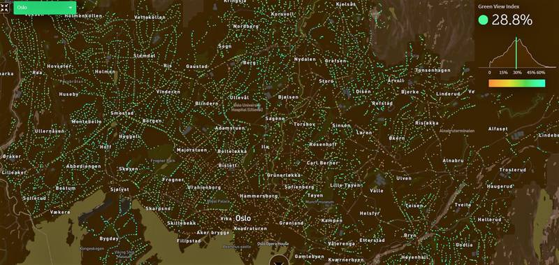 Studien lener seg på en grøntdragindeks, som er utviklet av MIT. Slik ser den ut for Oslo by, som er nesten 30 prosent dekket av grønt.