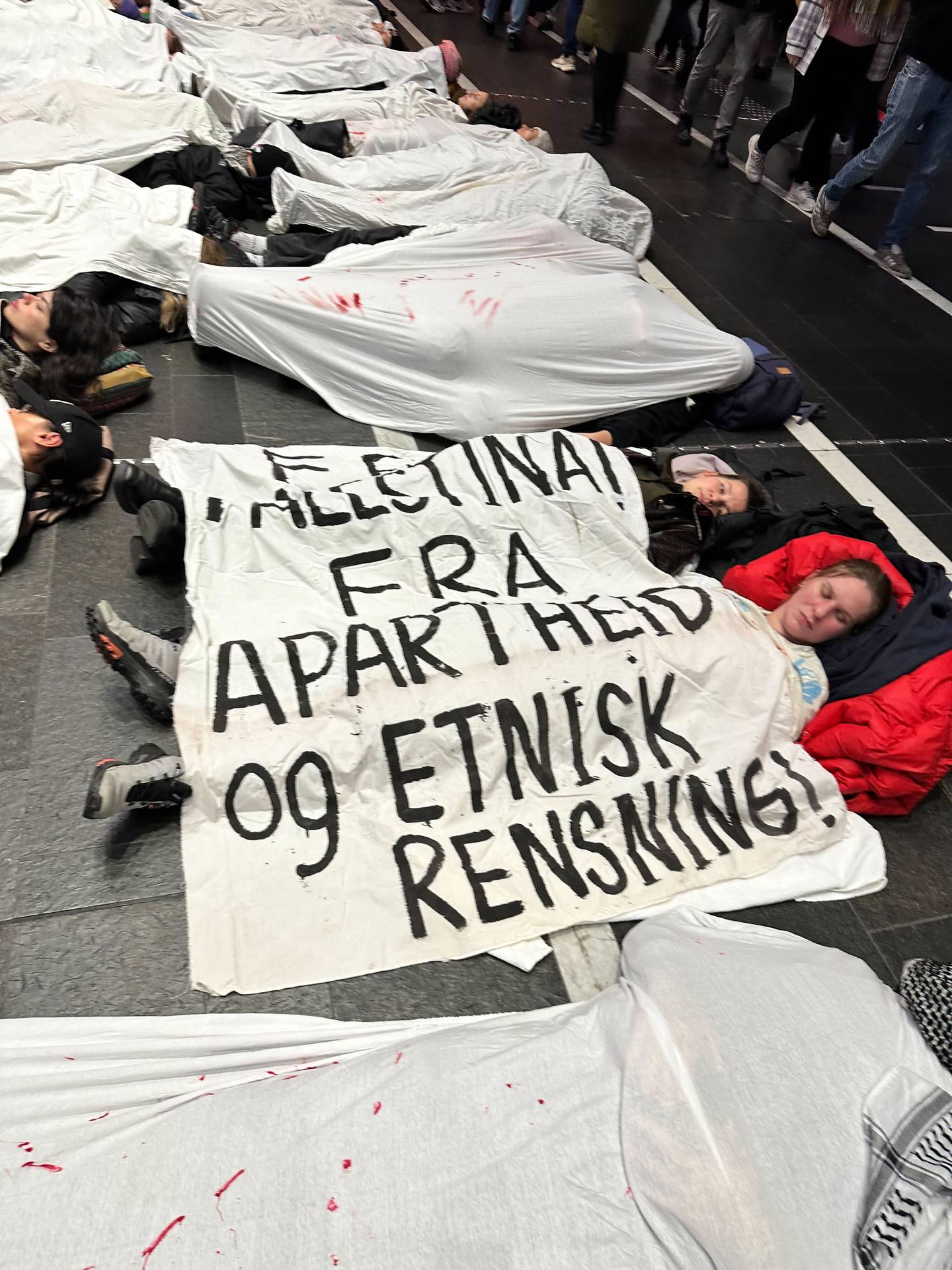 Stor Palestina-demonstrasjon på Oslo S.