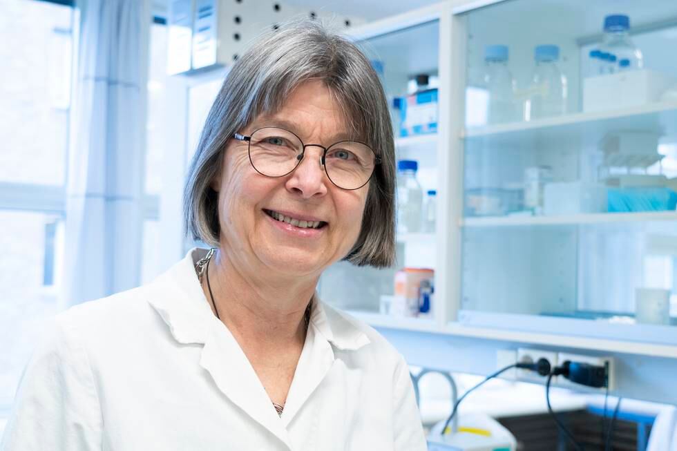 Anne Spurkland, professor i molekylær immunologi ved Universitetet i Oslo.