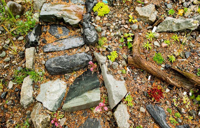 Fjoråret store prosjekt var fjellhagen, der små blomster stikker opp mellom steinene. FOTO: VEGARD WIVESTAD GRØTT/NTB SCANPIX