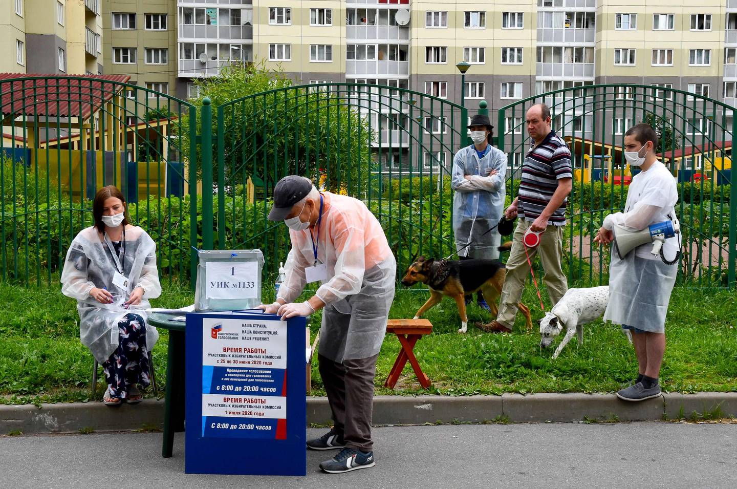 A man walks dogs as members of a local electoral commission wearing face masks wait for local residents at an outdoor polling station in Saint Petersburg on June 28, 2020. - The rickety plastic table beneath a row of towering apartment blocks in Russia's second city Saint Petersburg does not look much like a polling booth. But as Russians cast votes this week on constitutional reforms that could extend President Vladimir Putin's rule until 2036, the picnic furniture has taken on official status. (Photo by OLGA MALTSEVA / AFP)