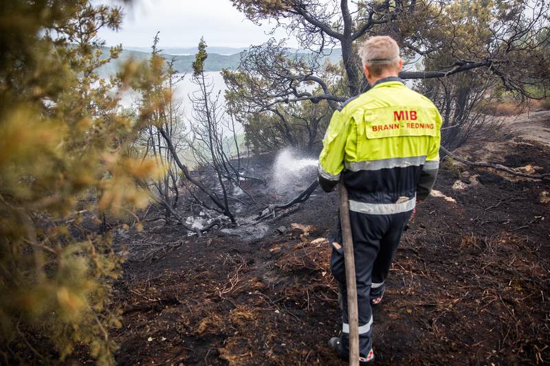 Det skjedde flere skogbranner i 2018 enn året før. Her fra skogbrannen på Røysåsen i Moss, hvor 150 personer måtte evakueres fra det nærliggende boligområdet.
