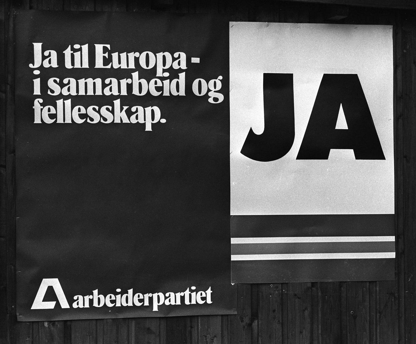Fra folkeavstemningen om EF i Norge i 1972. Foto: Ivar Aaserud, Aage Storløkken og Sverre Børretzen Aktuell / Scanpix