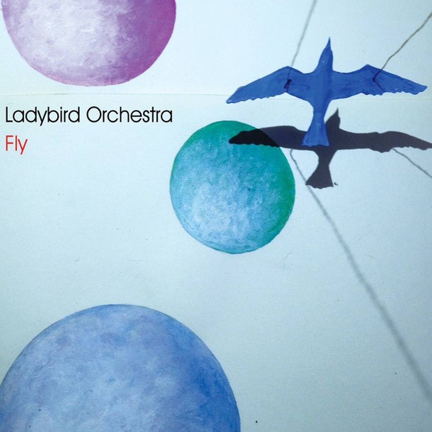 Ladybird Orchestra: Fly