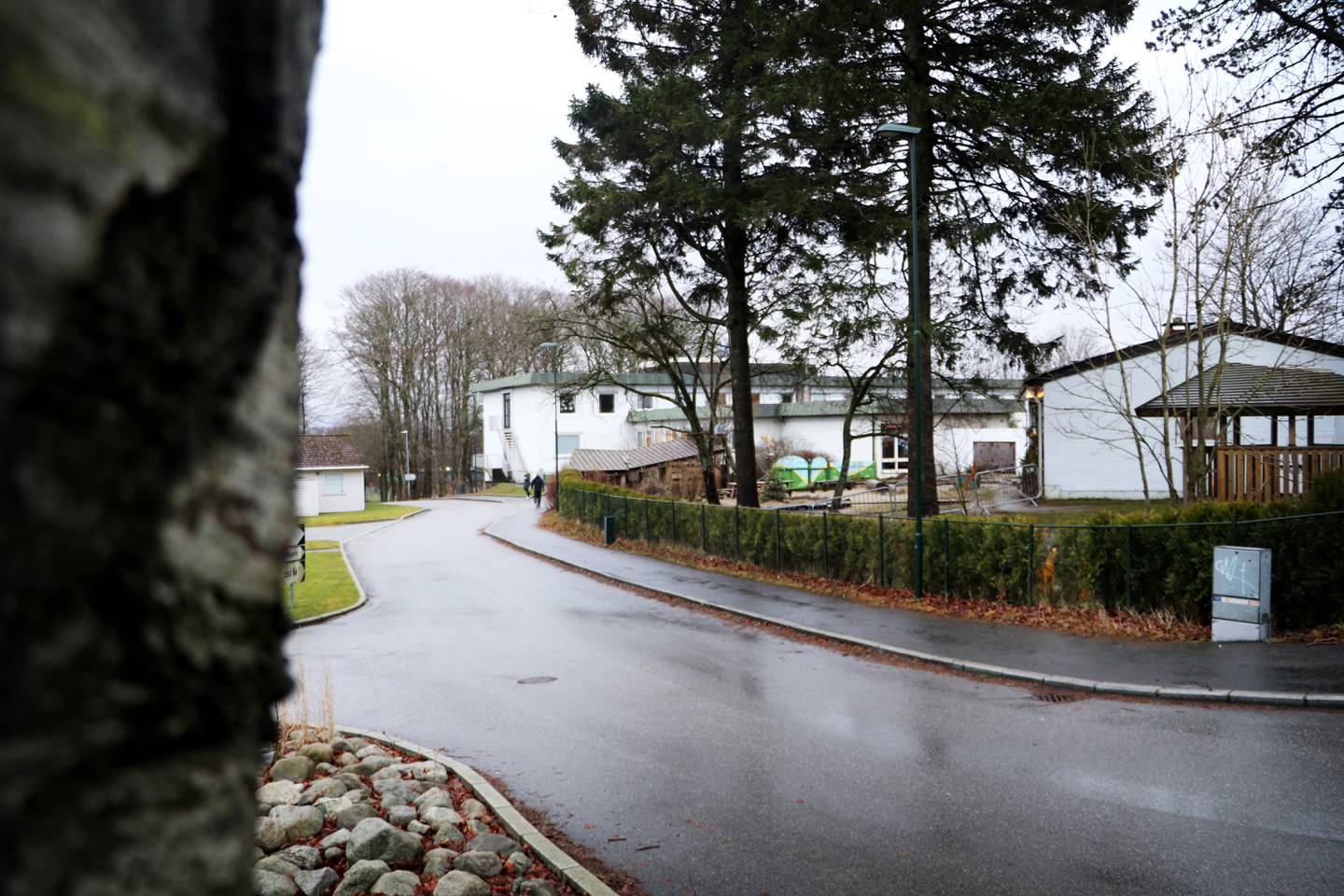 Politikere i Stavanger kommune ønsker å bygge en barnehage med plass til 120 barn ved Mosvatnet. Planen er å avvikle Biå barnehage og Mosheim sykehjem, og bygge den nye barnehagen på denne tomten.