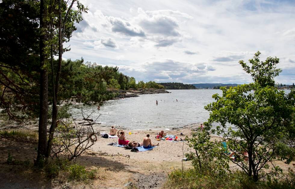 De nye elferjene i Oslo skal blant annet gå til Hovedøya. Foto: Vegard Wivestad Grøtt / NTB