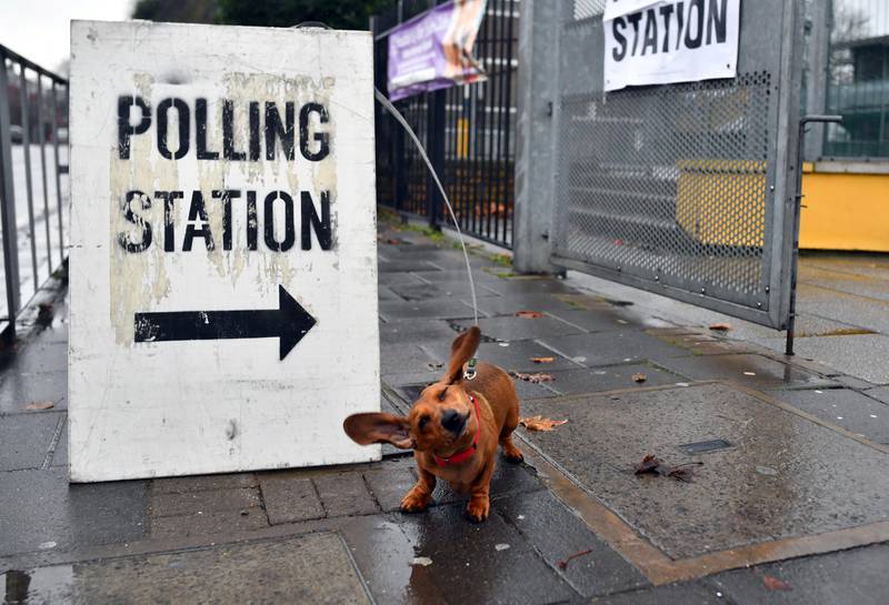A dog is pictured next to a sign outside a polling station during the general election in London, Britain, December 12, 2019. REUTERS/Dylan Martinez