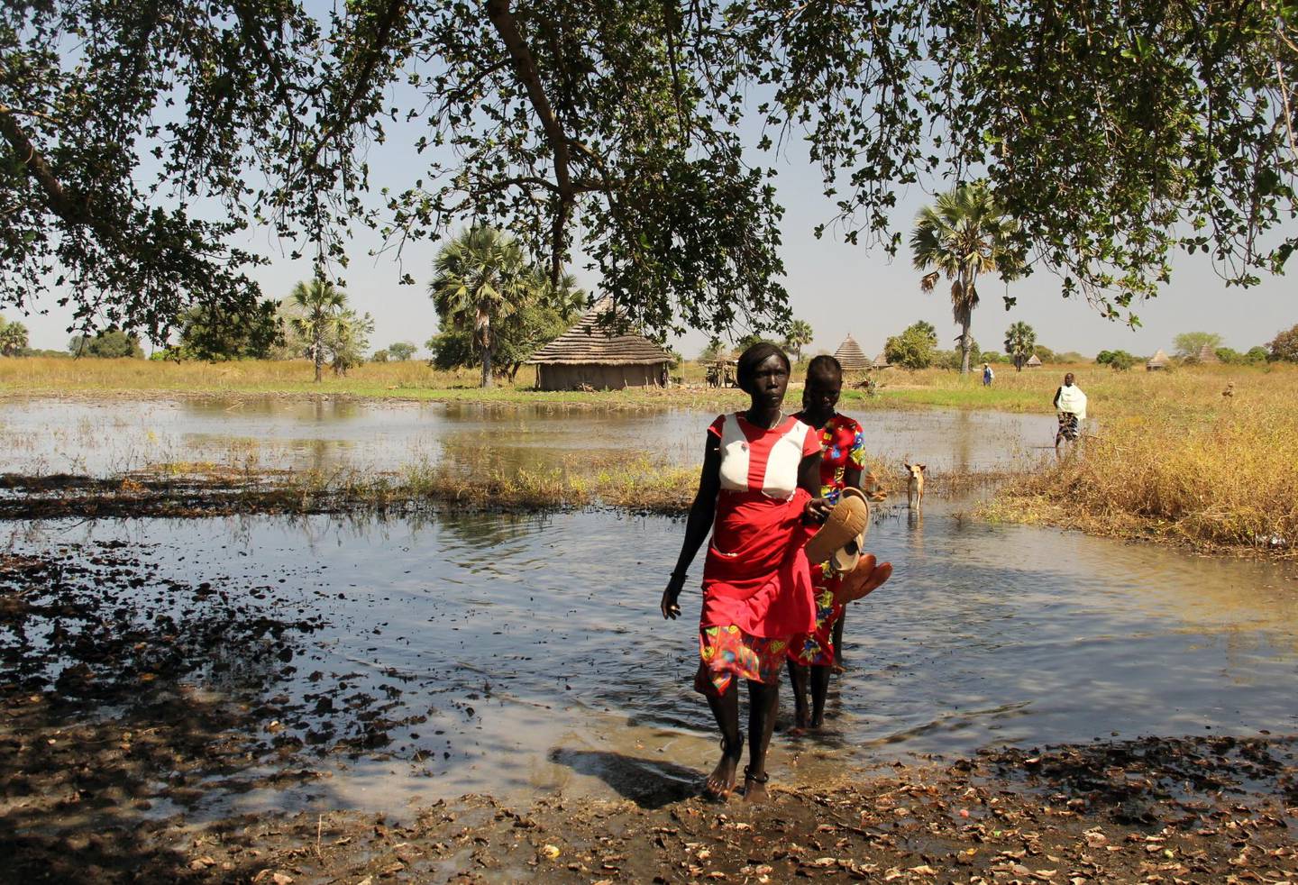 A displaced woman crosses a flooded area in Manager Ajak village, in South Sudan, November 27, 2020. Picture taken November 27, 2020. REUTERS/Denis Dumo