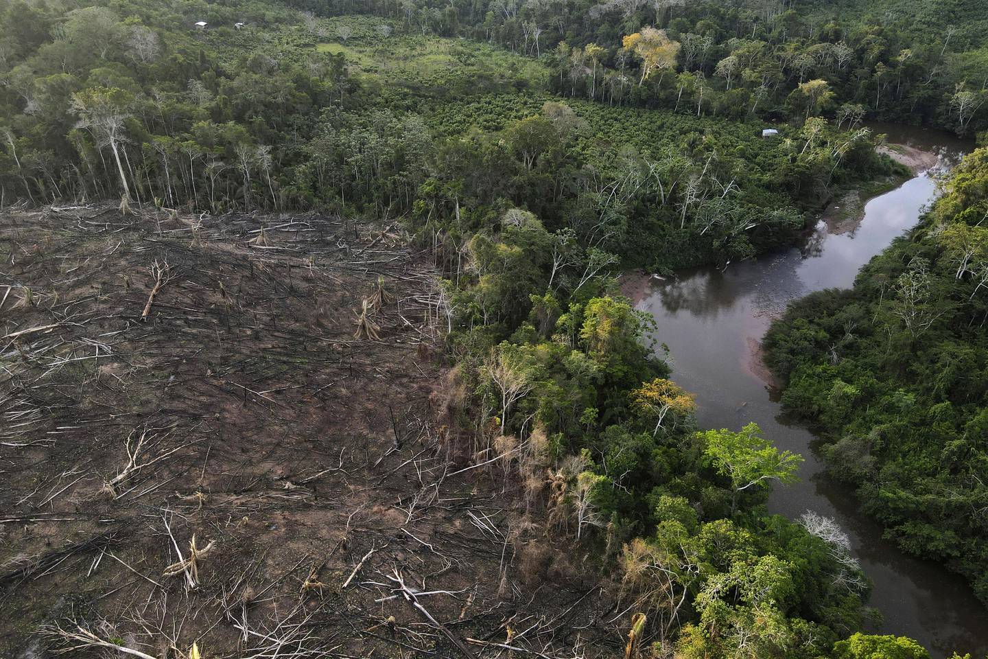 Avskoging er et enormt klimaproblem. Her fra en del av Amazonas i Peru.