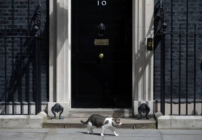 Katta blir: David Camerons katt, Larry, blir igjen i Downing street 10 når Theresa May nå flytter inn. Cameron er en «hundeperson», ifølge britiske medier. 
