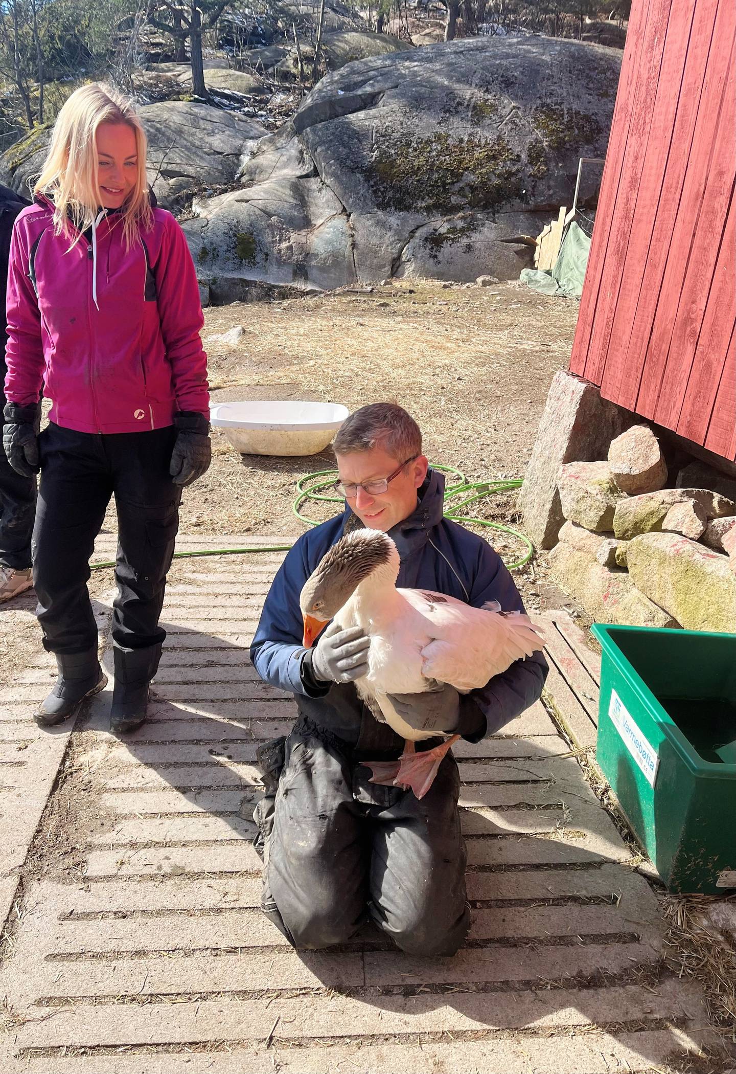 Anette Westgaard og Andreas Bjørnebye bor på gården sammen med rundt 70 dyr. Deriblant gåsa ÅsaMund, som kan være litt vrien med mindre Andreas godsnakker med han først.
