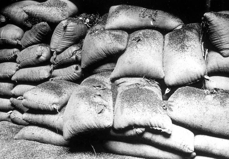 Stabel med kornsekker full av hull gnagd av rotter. Foto er fra Komiteen for Rottekrigen 1930 og ble brukt av Helserådet til foredrag om bekjempelse av rotteplagen.