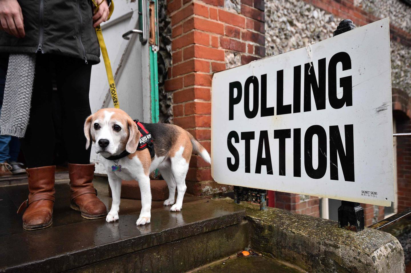 A voter leaves with their dog Lilly, after casting their vote at a polling station in Church in Brighton as Britain holds a general election on December 12, 2019. (Photo by Glyn KIRK / AFP)