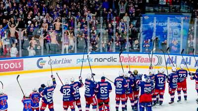 Åtte av ti eliteserieklubber i ishockey under handlingsplan 