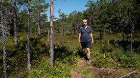 Venstre gravlegger mål om gratis skogvern