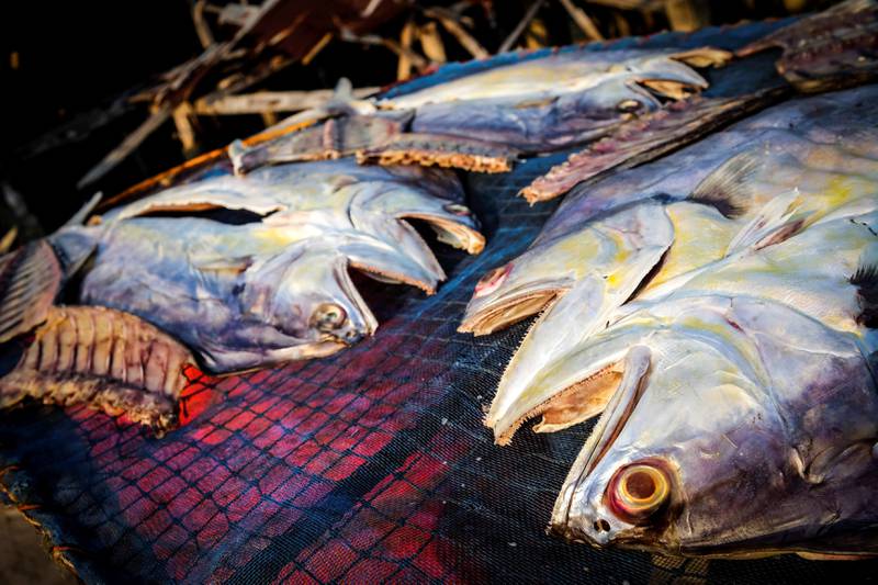 Sjømat er grunnsteinen i kostholdet her på øya, og store deler av befolkningen lever fortsatt av fiske. FOTO: AXEL MUNTHE-KAAS HÆRLAND
